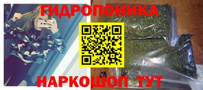 крисы Мариинск