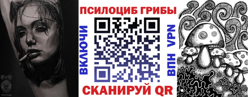 закладка  Севастополь  Псилоцибиновые грибы прущие грибы 