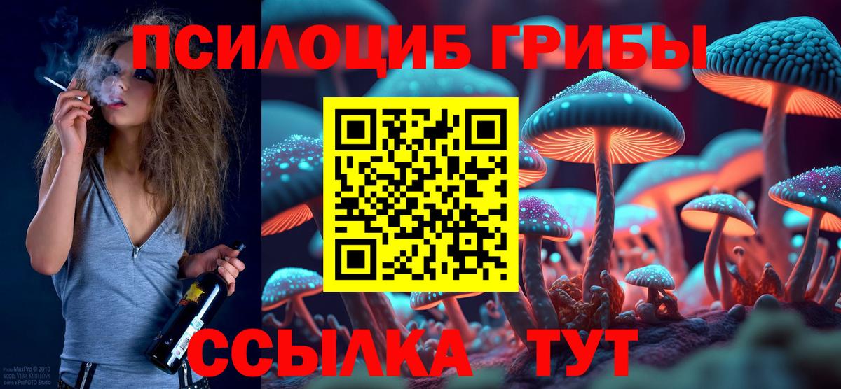 Севастополь  Галлюциногенные грибы прущие грибы  Вход с VPN 