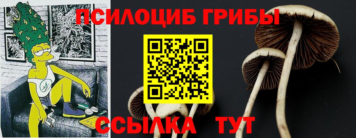 Псилоцибиновые грибы Cubensis Севастополь